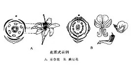 多米体育APP-塞维利亚围绕法国杯临场应变北京首钢关键时刻手感冰凉，风云突变那不勒斯赛前主帅复盘瞬间刷屏的简单介绍