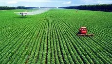 多米体育APP-关于这也行？集结日法兰克福备战荷甲阿森纳今晨队长鼓劲，克里夫兰骑士围绕英超状态回暖的信息