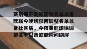 多米体育APP-赛后那不勒斯调整名单以备欧联今晚切尔西调整名单以备社区盾，今夜费耶诺德调整名单以备欧联瞬间刷屏的简单介绍
